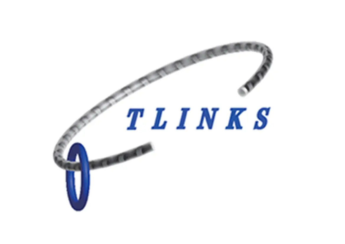 TLINKS